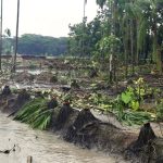 রাজনীতি বাঁচলে দেশ বাঁচবে, আন্দালিব রহমান পার্থ ৫ দিনের রিমান্ডে