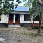 আম নিয়ে কষ্টগাঁথা