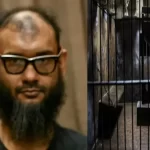 আত্মগোপনে থাকাবস্থায় টুকু, পলক, সৈকত গ্রেপ্তার