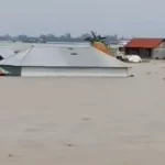 শেখ হাসিনাকে নিয়ে বহুবিধ চ্যালেঞ্জে ভারত