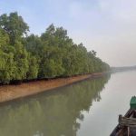 গণহত্যাকারী দল হিসাবে আ.লীগের বিচার করতে হবে