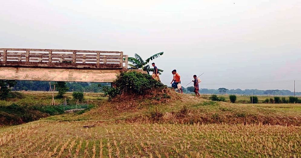 Nandail Picture 01 31 6828a6444a010 1
