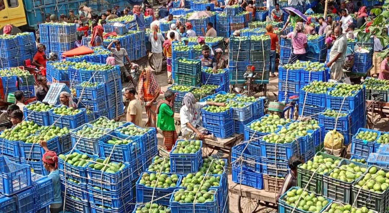 আম কেনা-বেচায় জমে উঠেছে রাজশাহীর হাট বাজার 5 mango 20250530171206