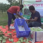 সচিবালয়ে কর্মচারীদের মধ্যে সংঘর্ষ, আহত ৫