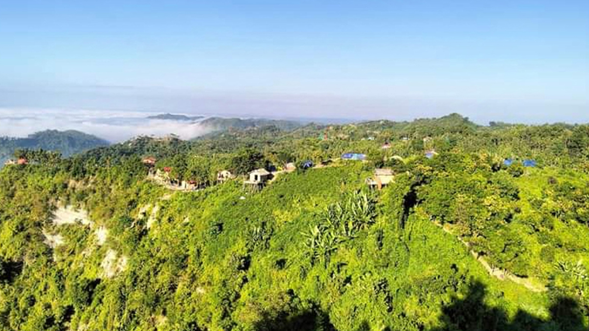 pahar 20250601204349
