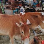 লাব্বাইক আল্লাহুমা লাব্বাইক,আজ পবিত্র হজ