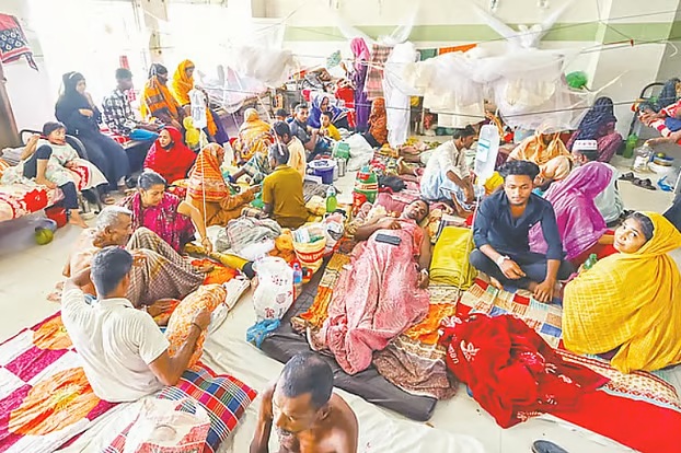জেলায় ডেঙ্গু