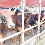 বিএনপি চেয়ারপারসন খালেদা জিয়ার গুলশানের বাড়ির কাগজপত্র দিয়েছে সরকার