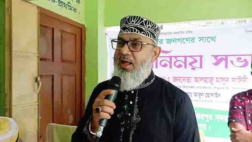 দেশের ১৮ কোটি মানুষ কিভাবে নিরাপদে থাকবে:মাসুদ সাঈদী 5 PIROJPUR MASUD SAYEDEE 08 07 2025 686d227878372