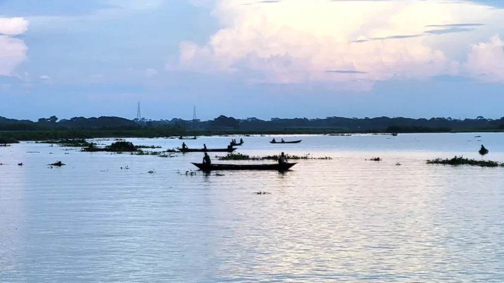 ইলিশ শিকার