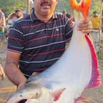 ভোলায় বিজেপির নেতাকর্মীদের ওপর বিএনপি নেতাকর্মীদেরহামলা,নিন্দা আন্দালিব পার্থের