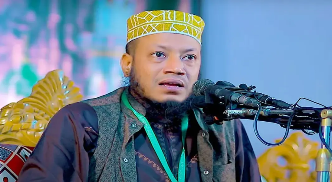 আমির হামজা