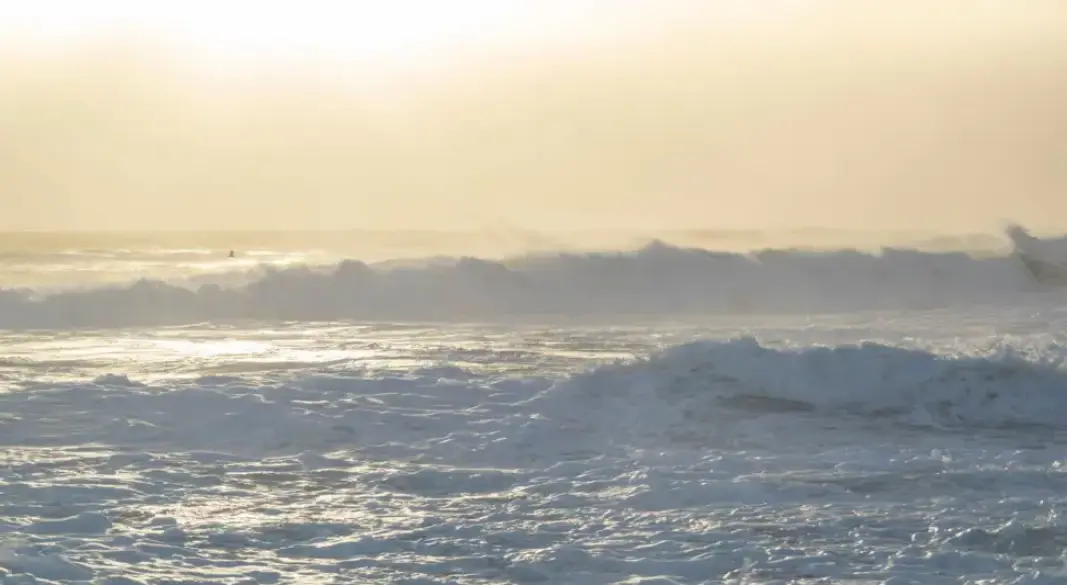 বঙ্গোপসাগরের সমুদ্রপৃষ্ঠের তাপমাত্রা ও অম্লতা বেড়ে চলেছে।