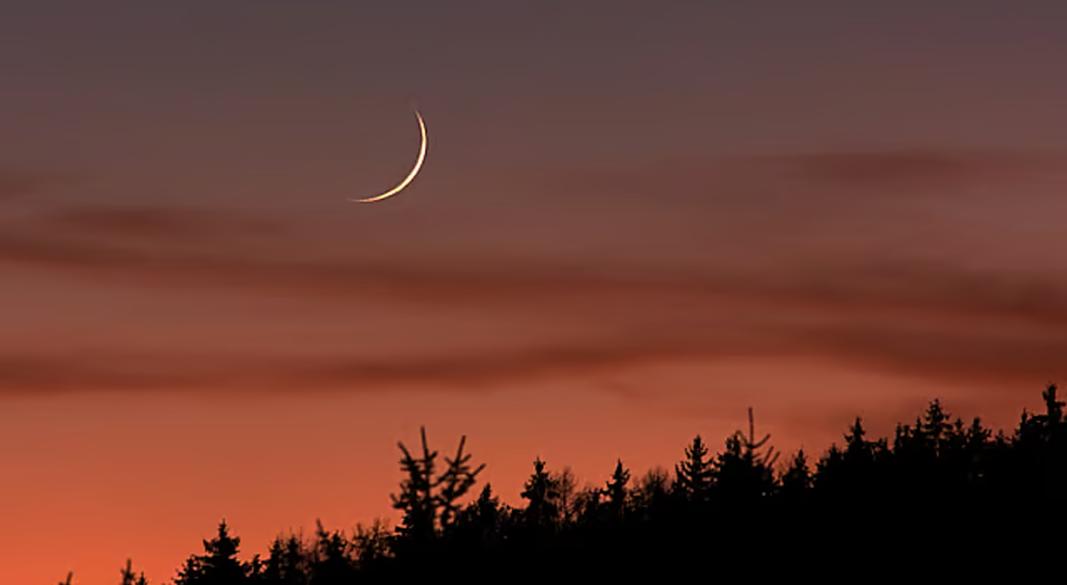 ঈদুল ফিতর