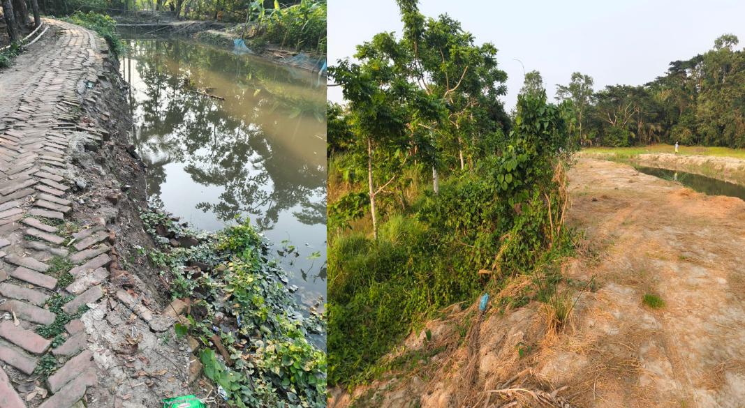 চরকাউয়ায় কোটি টাকার খাল খনন প্রকল্প: সুফলের বদলে দুর্ভোগ- সংকট