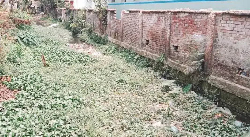 ঝালকাঠিতে খাল খনন