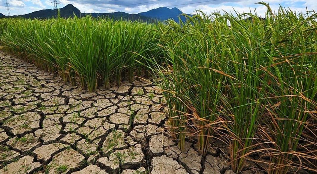 জলবায়ু পরিবর্তন