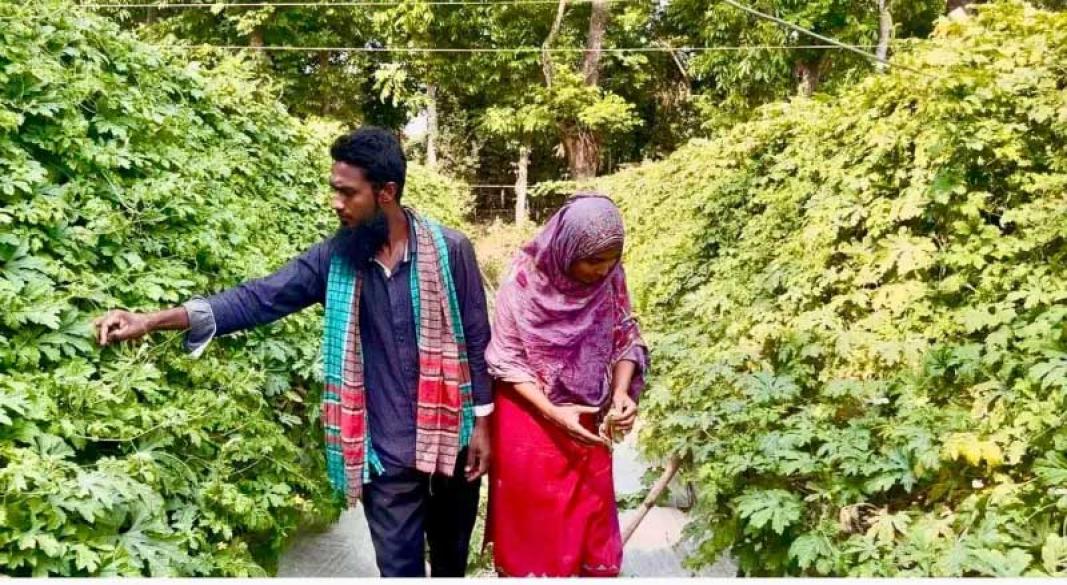 সফল চাষি মহিউদ্দিন টিপু