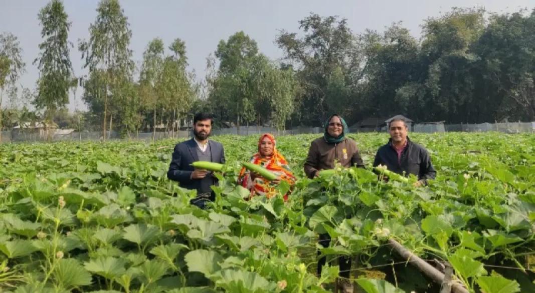 সুপার গ্রিন লাউয়ে মিজানুরের সাফল্য
