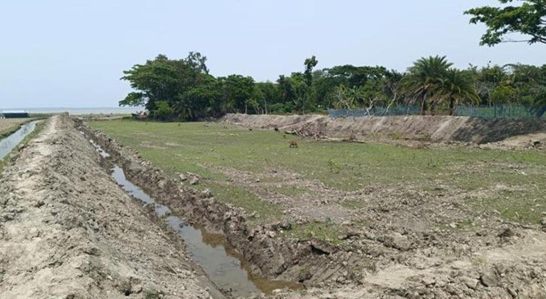 তালতলী পানি উন্নয়ন বোর্ড  জমি