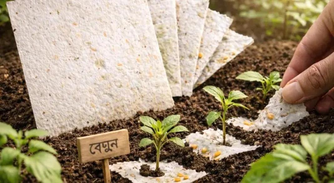 লিফলেট থেকে জন্মাবে গাছ