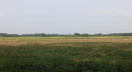 ঝালকাঠিতে বর্জ্য ব্যবস্থাপনা প্লান্ট নিয়ে বিতর্ক: তিন ফসলি জমি রক্ষায় গ্রামবাসীর প্রতিবাদ