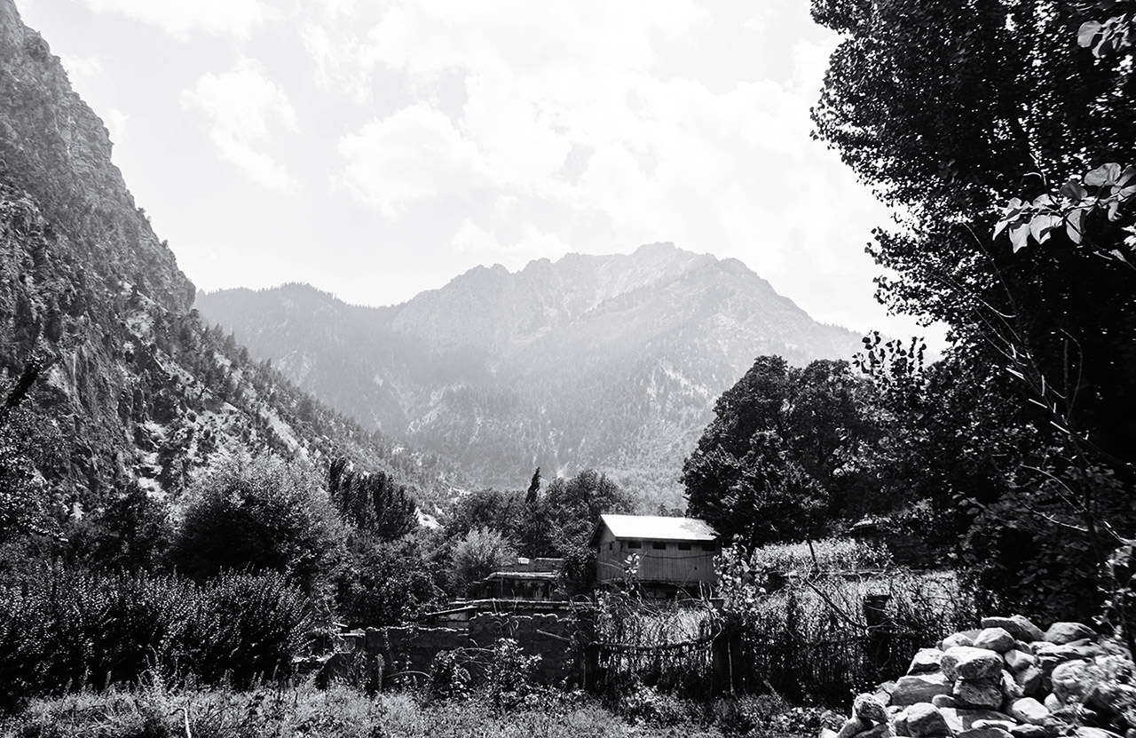 greyscale photography of trees beside hut 3103378
