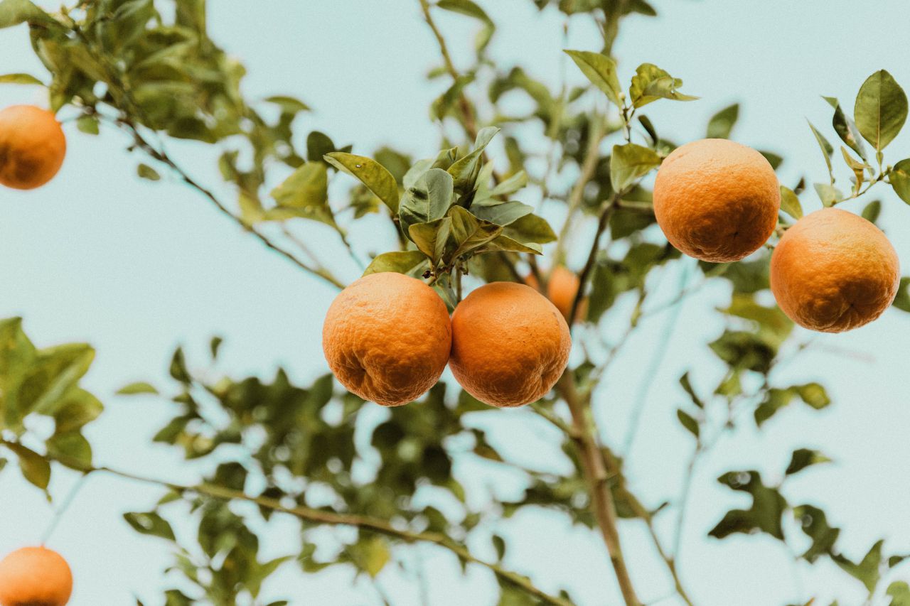 h benigno hoyuela E1ZwXiBD7LA unsplash