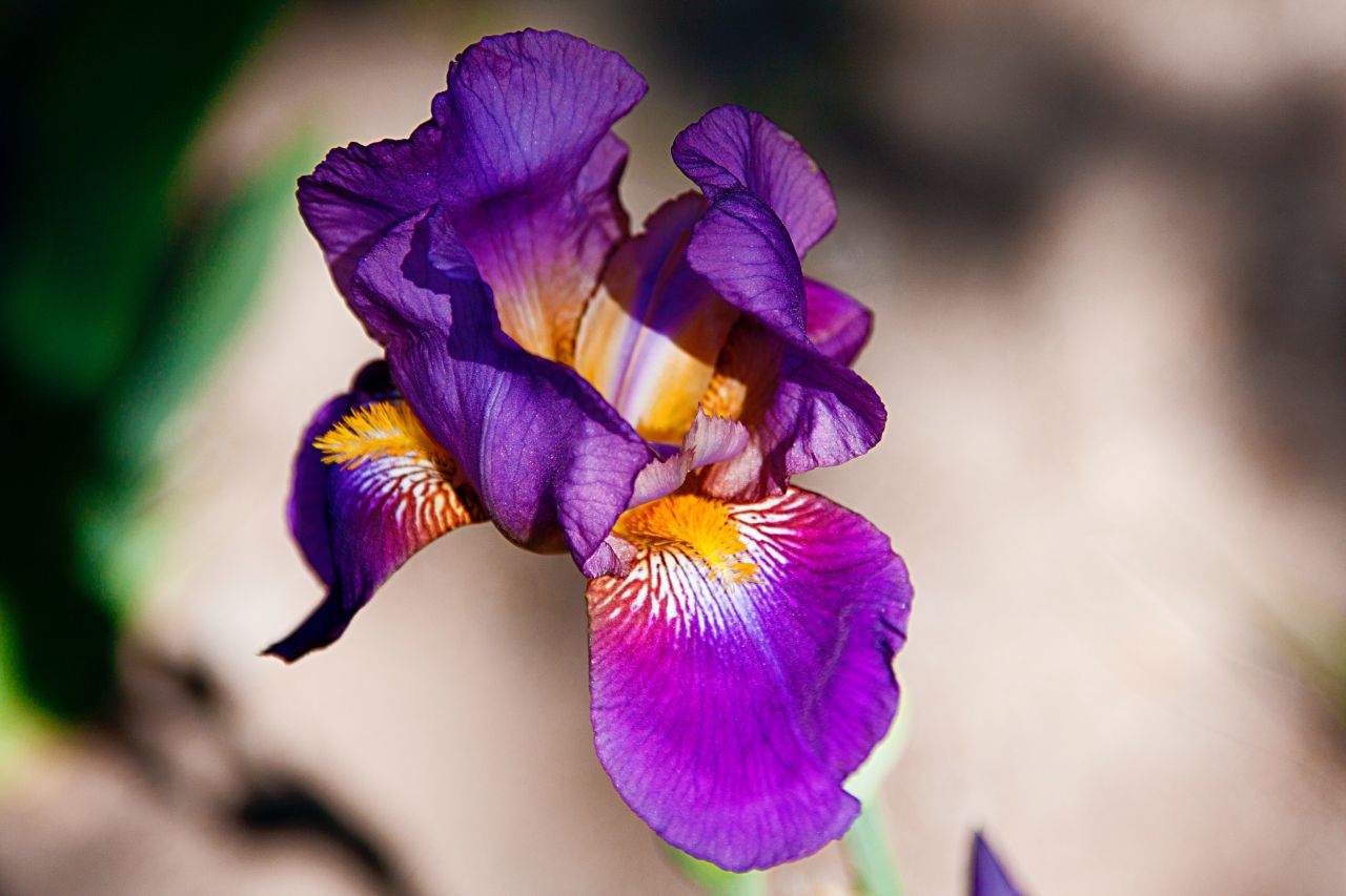 h quino al P7HVP60wqvo unsplash