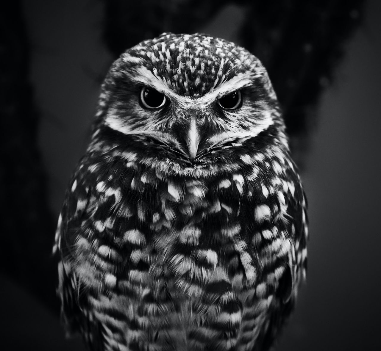 h vidar nordli mathisen tG5dTPMf1I4 unsplash