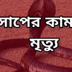 মৃত্যু : সাইফুল ইসলাম বনগ্রামী