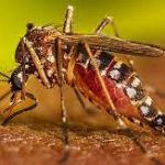 বিসিসি’র মেয়র খোকন সেরনিয়াবাত ‘র শোক প্রকাশ
