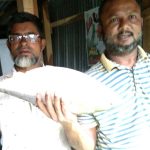 ঝালকাঠির ছত্রকান্দায় মর্মান্তিক সড়ক ঘটনায় তিনটি কারণ শনাক্ত