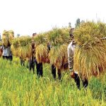নিবর্তনমূলক কোনো আইন জনগণ মানবে না: রাষ্ট্র সংস্কার আন্দোলন