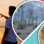 যে শহরে থাকতে লাগে না টাকা, সবাই স্বাধীন!