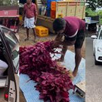শতাধিক বাংলাদেশির কাছে যেভাবে নরকে পরিণত হয় স্বর্গভূমি ভানুয়াতু