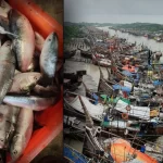 ডেঙ্গুতে রেকর্ড মৃত্যু ও দুর্বল জনস্বাস্থ্য ব্যবস্থাপনা