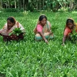 খরচ বাঁচাতে বিমানে চড়ে ক্লাসে যেতেন যুবক