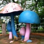 পেকুয়ায় রাতের আধারে যুবককে ছুরিকাঘাত