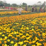 দেখে আসুন স্বরূপকাঠির স্বরূপ