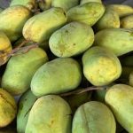 ময়মনসিংহ মেডিকেলের ৫০ কোটি টাকার টেন্ডার