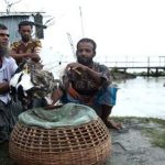 কিশোরগঞ্জে মাদ্রাসা সুপারের মনোনীত ব্যক্তিকে নিয়োগ দিলেন ডিজি প্রতিনিধি