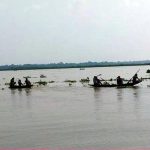 পাখির বাবা-মা হলেন ঝিনাইদহের এক দম্পতি