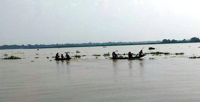 বিষখালী নদীতে অবাধে চলছে মা ইলিশ নিধন 5 IMG 20231016 102506