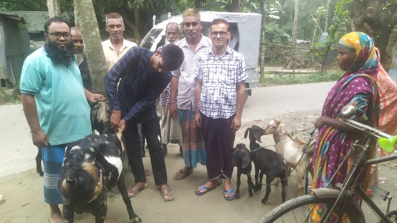 শেরপুরে ছাগল ভেড়ার পিপিআর ফ্রি টিকা প্রদান ক্যাম্পেইন 5 ab46a6019d898406cc31d9095e93aa69