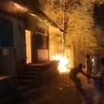 পাখির জন্য নিরাপদ আশ্রয় তৈরিতে খুলনা বিশ্ববিদ্যালয়ের গাছে গাছে মাটির হাঁড়ি