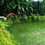 ভোলার নারী উদ্যোক্তা প্রমিতা এনি হ্যান্ড পেইন্টিং করেই স্বনির্ভর
