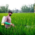 বাগমারায় শহীদ এ.এইচ.এম কামারুজ্জামান স্মৃতি সংঘের উদ্বোধন করলেন এমপি এনামুল হক