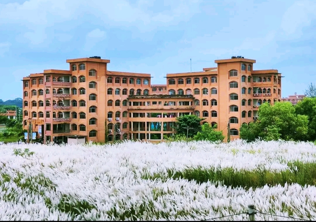 গবেষণা প্রকল্পে বরিশাল বিশ্ববিদ্যালয়ের ১৪ শিক্ষক পেলেন ২০ লক্ষ টাকা অনুদান 5 IMG 20231222 221638