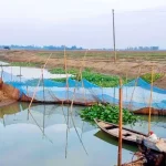 জলবায়ু পরিবর্তনে নারীর মানষিক উন্নয়ন শীর্ষক কর্মশালা
